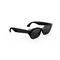 Meta Glasses
