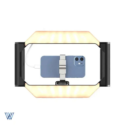 Ulanzi U-Rig Smartphone Video Rig with Light Price in Pakistan - V3 Shopping