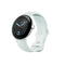 Google Pixel Watch 5 Price in Pakistan - Lens Ground