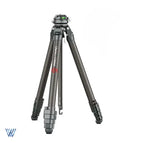TreeRoot Quick Lock Pro Tripod / 2 To 3 Days
