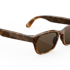 Frame color: Classic Tortoise Lens color: Brown