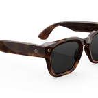 Frame color: Mahogany Lens color: Clear to Grey Transitions