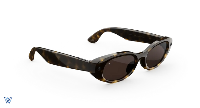 Meta Starfire Kylie Edition Glasses Price in Pakistan - Lens Ground