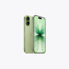Sage / 256GB / 1 Year Official Warranty